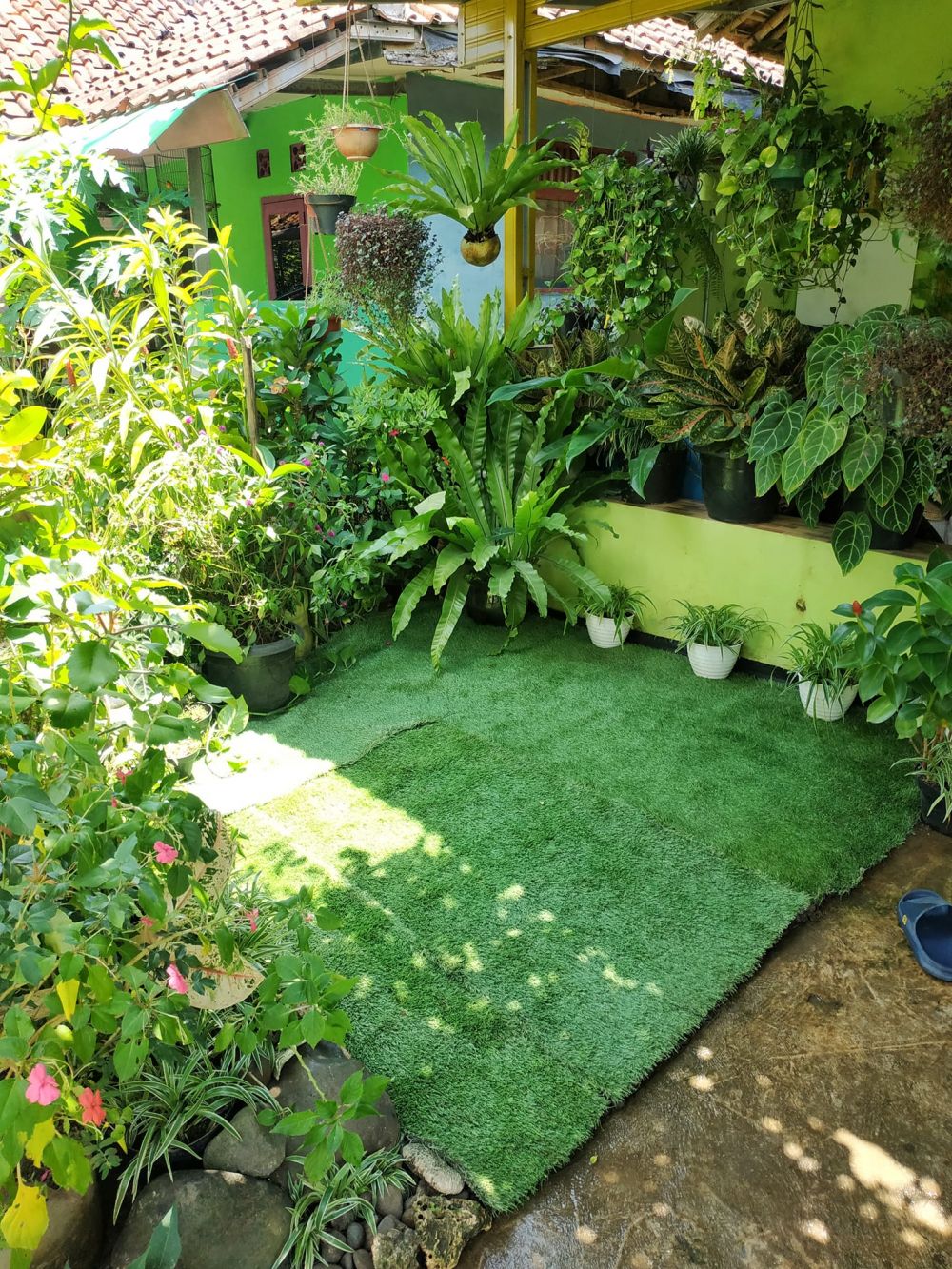 rumah penuh tanaman hias © Facebook rumah penuh tanaman hias © Facebook