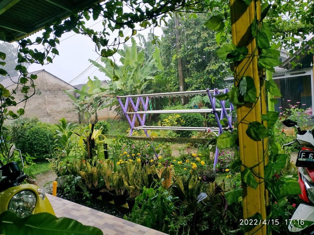 rumah penuh tanaman hias © Facebook rumah penuh tanaman hias © Facebook