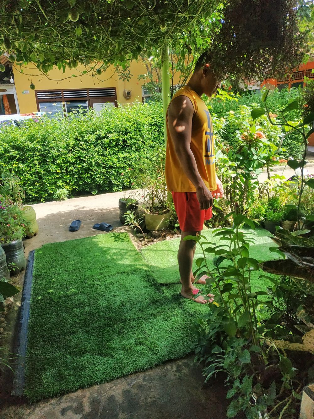 rumah penuh tanaman hias © Facebook rumah penuh tanaman hias © Facebook