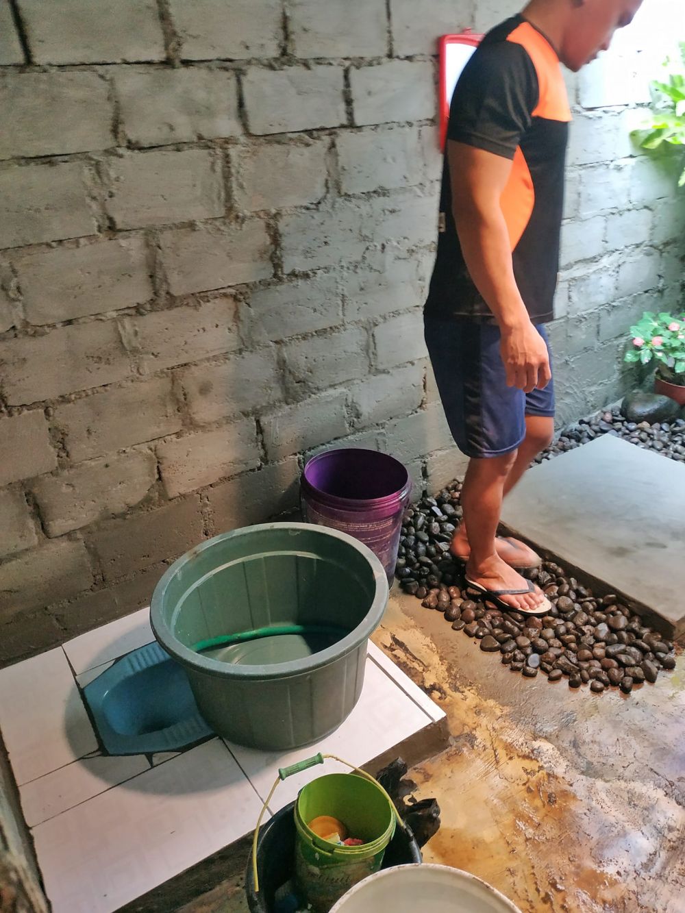 rumah penuh tanaman hias © Facebook rumah penuh tanaman hias © Facebook