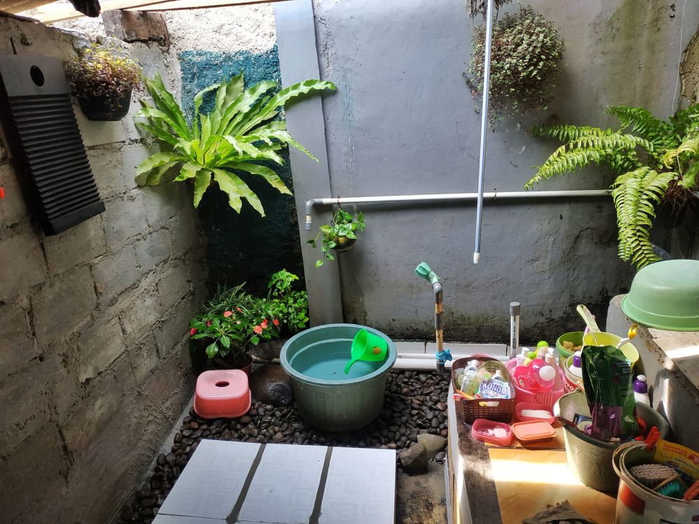 rumah penuh tanaman hias © Facebook rumah penuh tanaman hias © Facebook