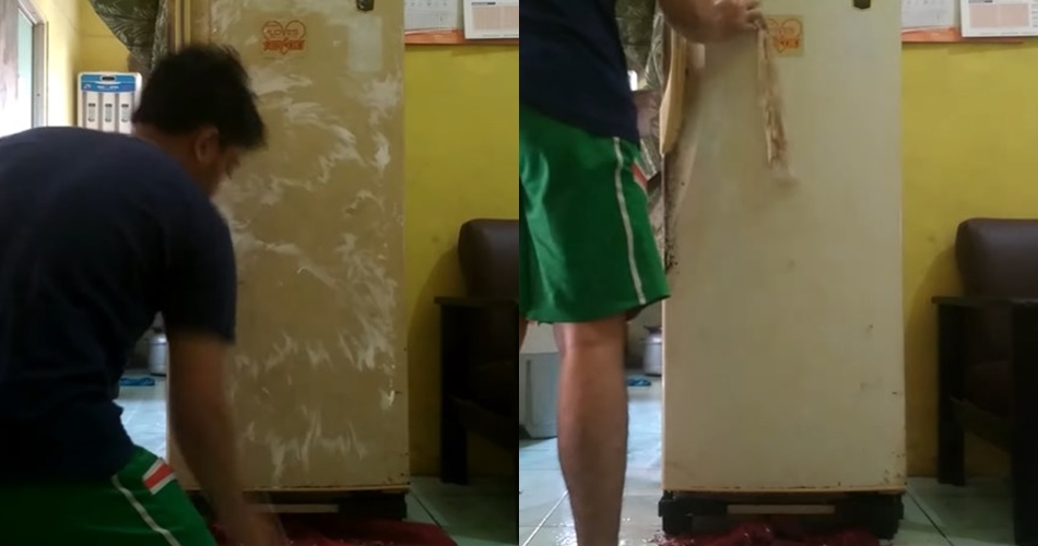 Cara membersihkan pintu kulkas yang menguning dan berkerak, kinclong cuma pakai 1 bahan