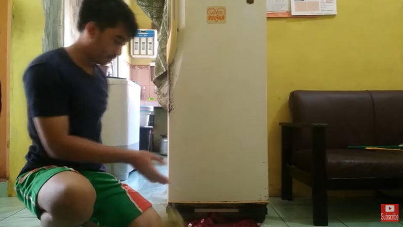 Cara membersihkan pintu kulkas yang menguning dan berkerak, kinclong cuma pakai 1 bahan
