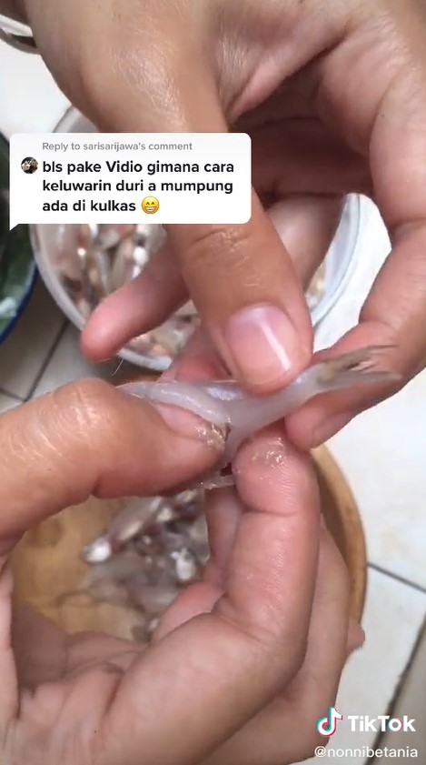 Cara cepat mencabut tulang ikan teri basah, mudah tanpa bantuan alat