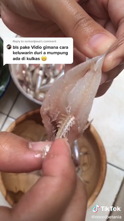Cara cepat mencabut tulang ikan teri basah, mudah tanpa bantuan alat