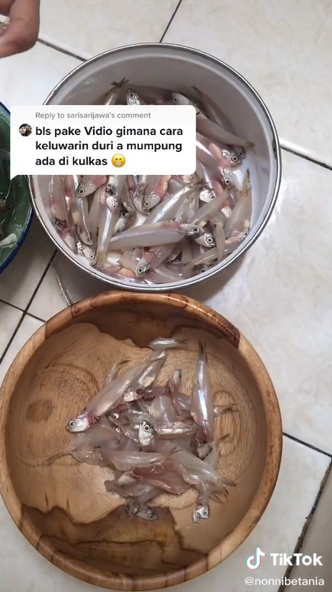Cara cepat mencabut tulang ikan teri basah, mudah tanpa bantuan alat