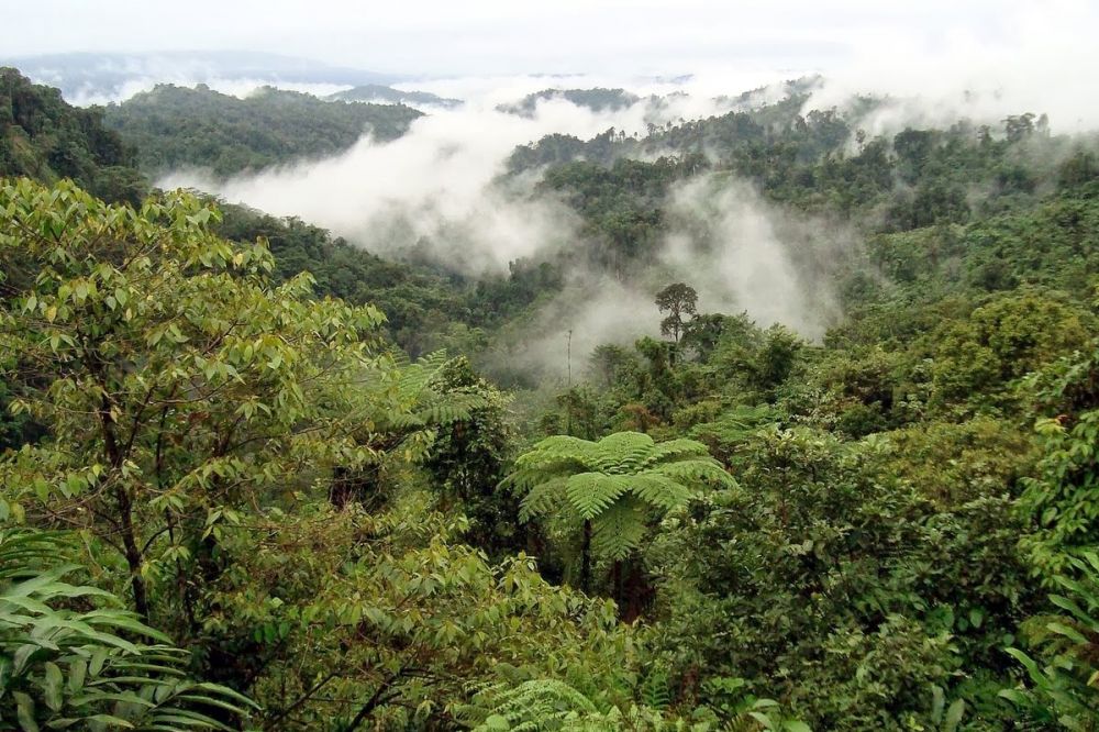 Berada dalam satu pulau, kenapa Papua Nugini tidak masuk ke wilayah Indonesia?  
