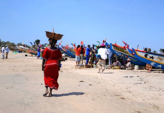 Fakta menarik negara gambia Berbagai sumber