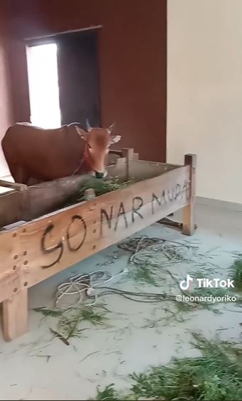 Rumah mewah jadi kandang sapi © Instagram