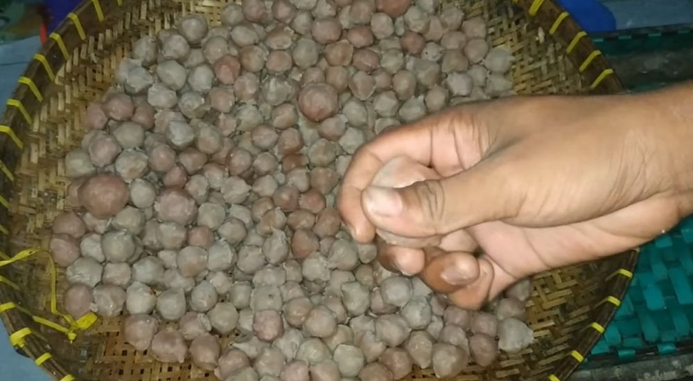 Tanpa divakum, ini trik menyimpan bakso agar awet dan tak berlendir sampai seminggu