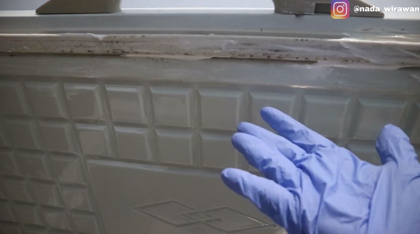 Tanpa perlu disikat, ini cara mudah bersihkan jamur pada karet tutup freezer box