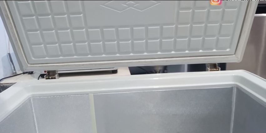 Tanpa perlu disikat, ini cara mudah bersihkan jamur pada karet tutup freezer box