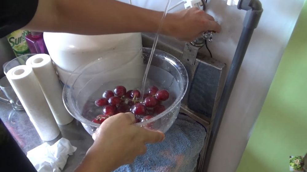 Trik aman membersihkan anggur dari pestisida dan pengawet, cukup pakai satu bahan dapur