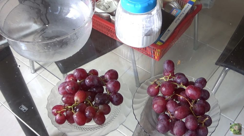 Trik aman membersihkan anggur dari pestisida dan pengawet, cukup pakai satu bahan dapur