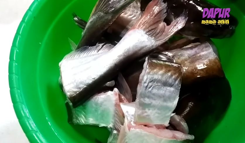 Cuma pakai bahan-bahan dapur, ini cara ampuh hilangkan bau amis di ikan patin