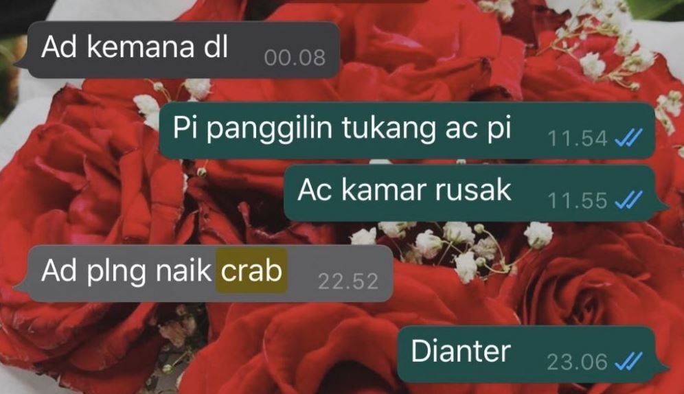 chat typo lucu orang tua ke anak © berbagai sumber