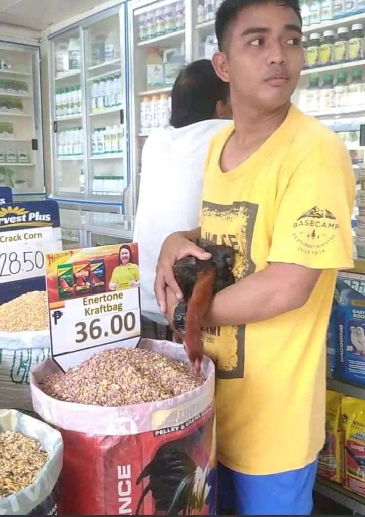 cara absurd atasi masalah bikin senyum kecut © berbagai sumber