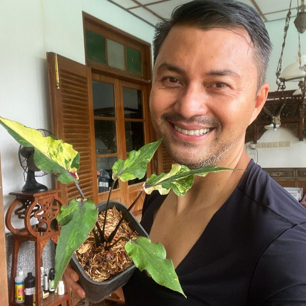 potret terbaru produser sitkom suami suami takut istri © berbagai sumber potret terbaru produser sitkom suami suami takut istri © berbagai sumber