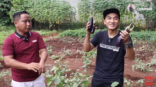 potret kebun sayur milik Narji © YouTube potret kebun sayur milik Narji © YouTube