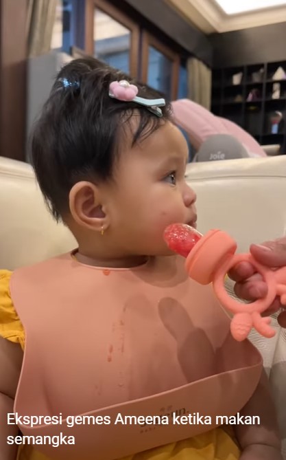 10 Finger food Ameena anak Aurel Hermansyah, bantu dukung tumbuh kembang