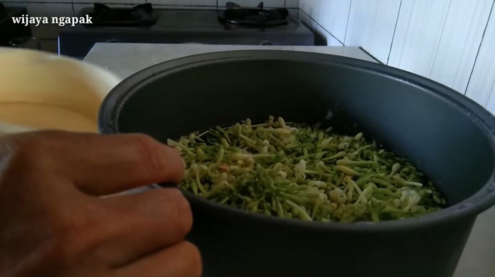 Trik merebus bunga pepaya ini efektif hilangkan rasa pahit