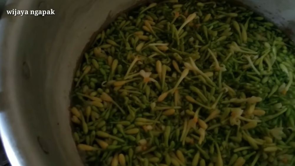 Trik merebus bunga pepaya ini efektif hilangkan rasa pahit