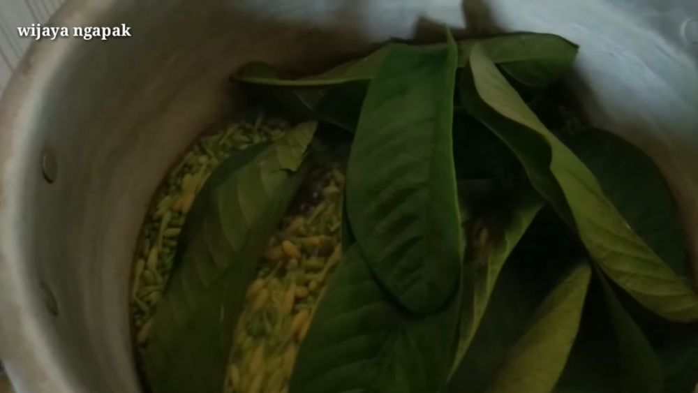 Trik merebus bunga pepaya ini efektif hilangkan rasa pahit