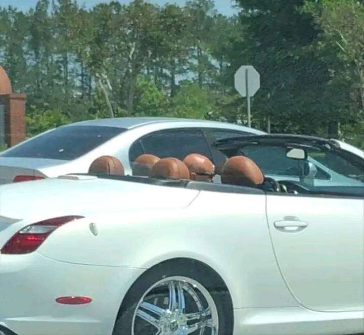 potret nyeleneh bikin mata terkecoh © Facebook