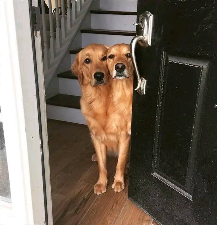 potret nyeleneh bikin mata terkecoh © Facebook