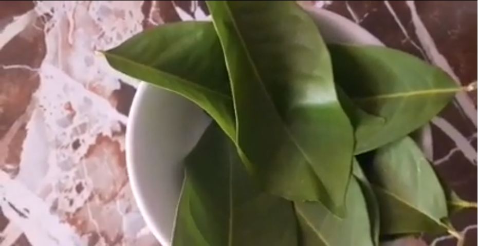 Jangan asal, ini cara merebus daun salam yang benar agar nutrisinya tak hilang