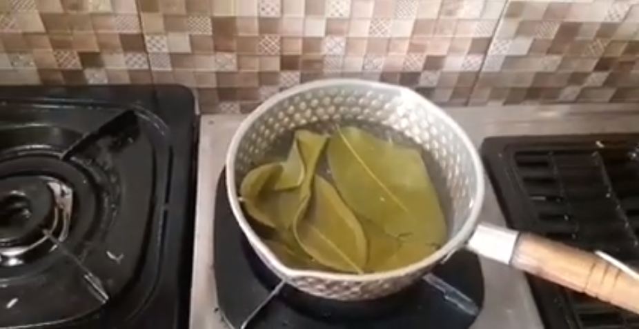 Jangan asal, ini cara merebus daun salam yang benar agar nutrisinya tak hilang