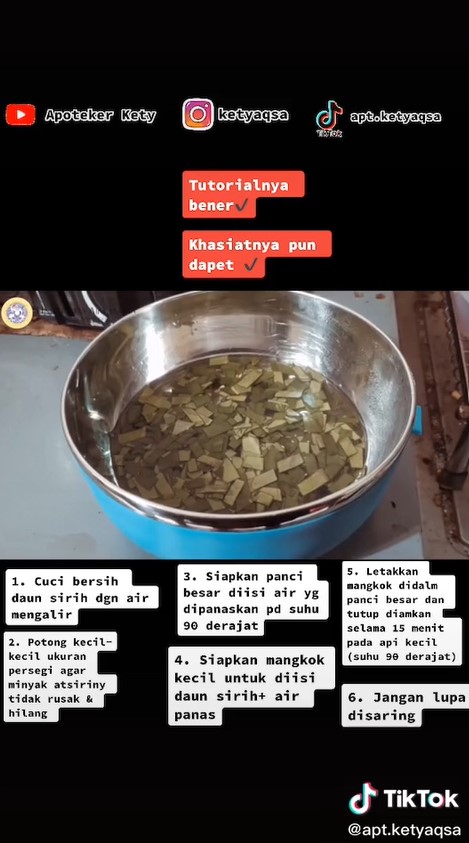 Jangan asal, ini 7 cara merebus daun sirih untuk dikonsumsi