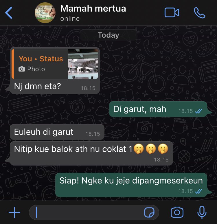 chat halu dengan mertua © twitter
