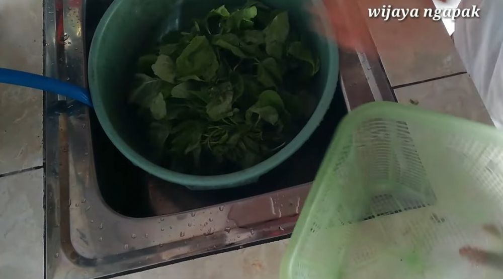 Trik merebus bayam untuk lalapan ini bikin teksturnya tak lembek dan tetap hijau