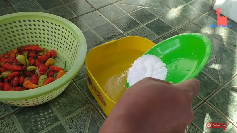 Jangan hanya pakai air, begini cara mencuci cabai agar sisa pestisida lenyap