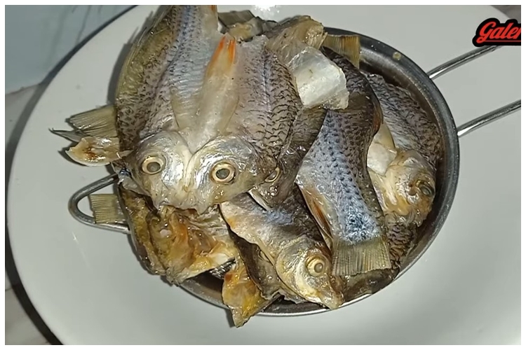 Cara mengolah ikan asin kering agar bebas pengawet formalin dan lebih aman dikonsumsi
