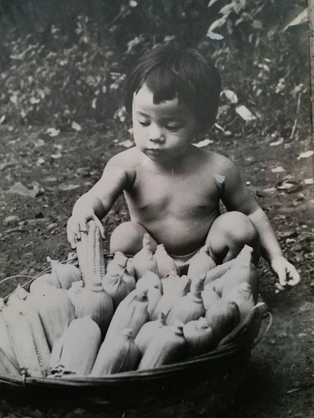 Pengganti Lulu Tobing di Tersanjung © 2023 brilio.net Pengganti Lulu Tobing di Tersanjung © 2023 brilio.net