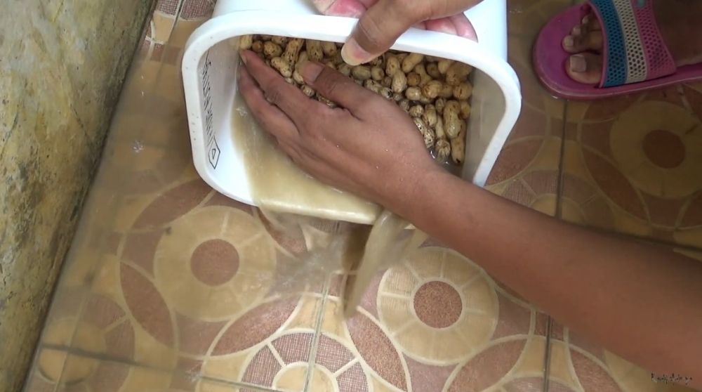 Trik membersihkan tanah pada kulit kacang, lebih cepat dan bersih