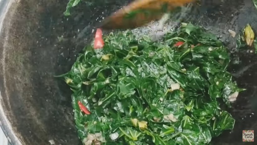 Trik mengolah daun pepaya jepang agar tak beracun dan aman dikonsumsi