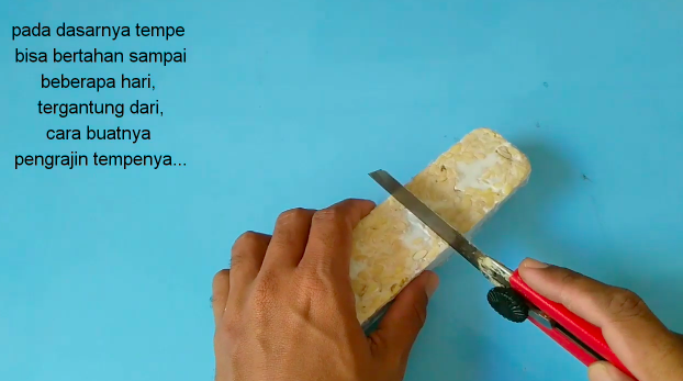 Tanpa bahan tambahan, ini cara menyimpan tempe tumpuk agar awet selama 1 minggu