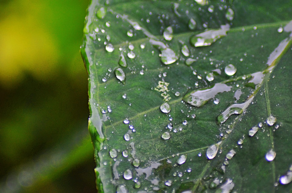 Contoh kata perumpamaan © 2023 brilio.net