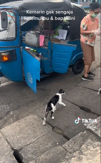 suami istri rutin beri makan kucing jalanan © 2023 brilio.net