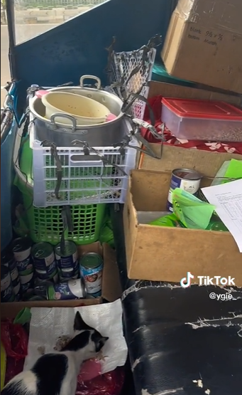 suami istri rutin beri makan kucing jalanan © 2023 brilio.net