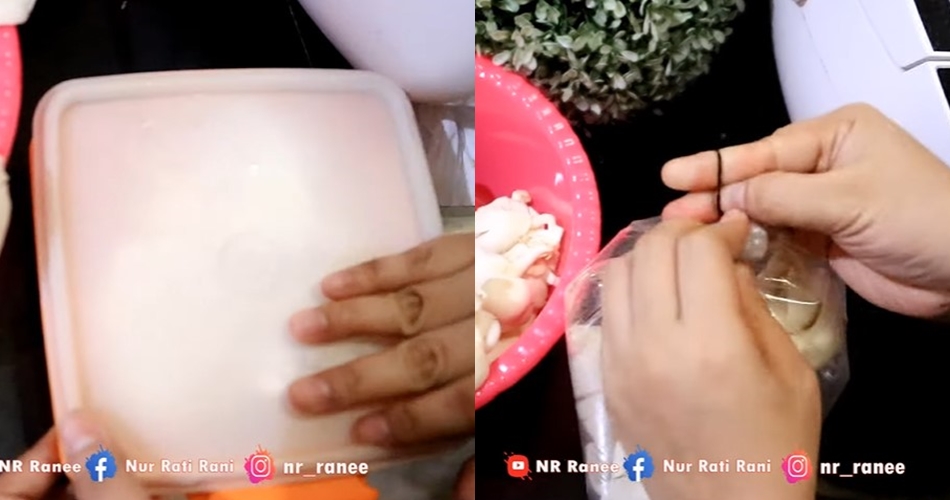 Bukan di freezer, begini cara menyimpan jamur tiram agar awet dan tak busuk berhari-hari