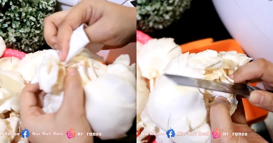 Bukan di freezer, begini cara menyimpan jamur tiram agar awet dan tak busuk berhari-hari