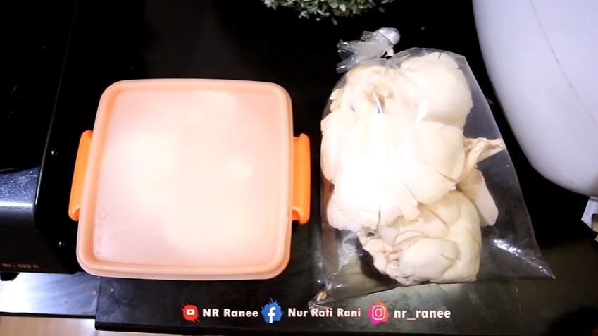 Bukan di freezer, begini cara menyimpan jamur tiram agar awet dan tak busuk berhari-hari