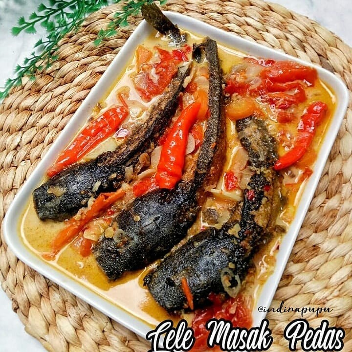 11 Resep lele berkuah santan pedas, nikmat dan menggugah selera