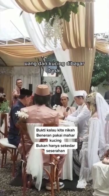 Pernikahan Mahar kucing TikTok Pernikahan Mahar kucing TikTok