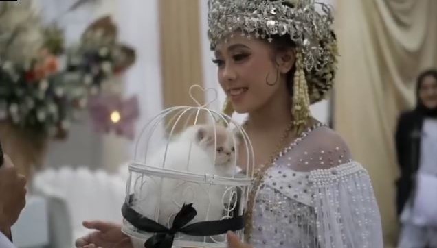 Pernikahan anti mainstream, pria ini jadikan kucing sebagai mahar nikah