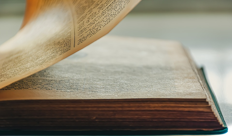 Contoh kata konjungsi © 2023 brilio.net